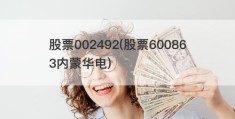 股票002492(股票600863内蒙华电)