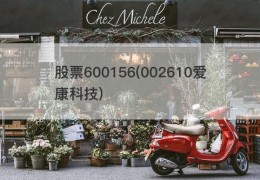 股票600156(002610爱康科技)