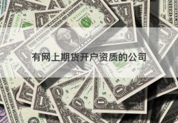 有网上期货开户资质的公司