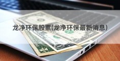 龙净环保股票(龙净环保最新消息)