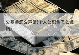 公基金怎么声请(个人公积金怎么缴纳)