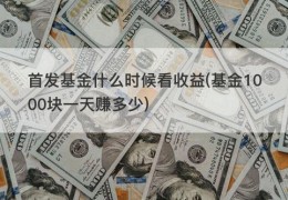 首发基金什么时候看收益(基金1000块一天赚多少)