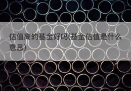 估值高的基金好吗(基金估值是什么意思)