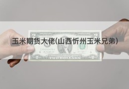 玉米期货大佬(山西忻州玉米兄弟)