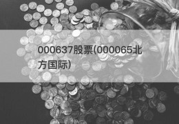 000637股票(000065北方国际)
