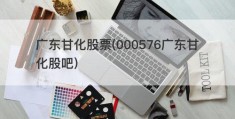 广东甘化股票(000576广东甘化股吧)