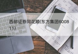 西部证券同花顺(东方集团600811)